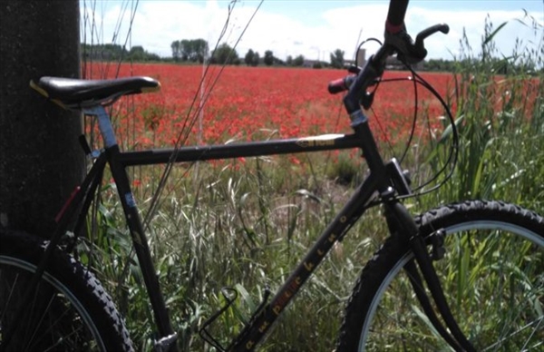 Progetto ″Risi e Bici″