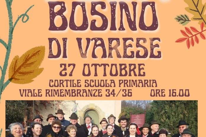 Folkbosino di Varese